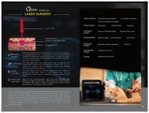 JZGGD001 Laser therapy for animals-8