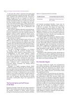 JZGGD003 Laser Physiotherapy-12