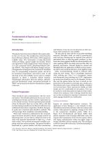 JZGGD003 Laser Physiotherapy-3