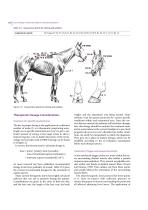JZGGD003 Laser Physiotherapy-4