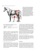 JZGGD003 Laser Physiotherapy-8