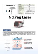 Stelle Laser-Nd Yag Laser Tattoo Removal Device-APQ2-1