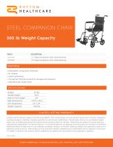 STEEL COMPANION CHAIR-1