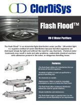 Flash Flood-1