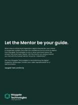 Everest Mentor Visual iQ+ + VideoProbe-12