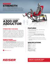 A300 Abductor Machine-2