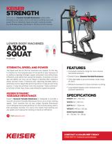 A300 Squat-2