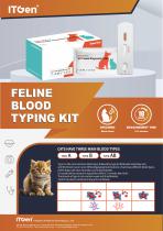 FELINE BLOOD TYPING KIT-1