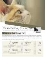 ITGen catalog-10