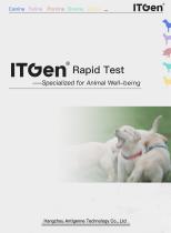 ITGen catalog-2