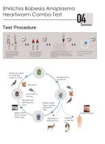 ITGen catalog-7