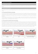 4 handle emslim+2 handle endorshape-4