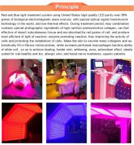 FDA version LED Facial Therapy-1-2
