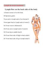 Ultrasound lipolysis unit LPG+Endorsfera 2 in 1-27