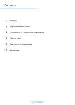 White Paper_Auricular Vagus Nerve Stimulation_VIVO-3