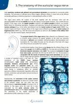 White Paper_Auricular Vagus Nerve Stimulation_VIVO-8