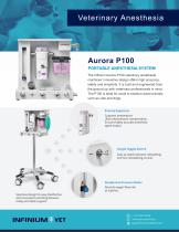AuroraP100-2