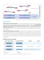 Nanodigmbio-NadPrep DNA Methyl Bisulfite Conversion Module-2