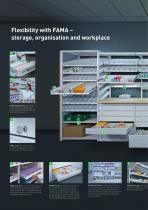 FAMA shelving system-6