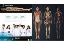 Digihuman Virtual Anatomy Table-3
