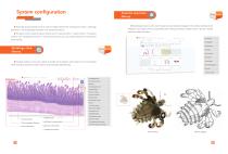 Medical Morphology-3