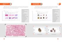 Medical Morphology-4