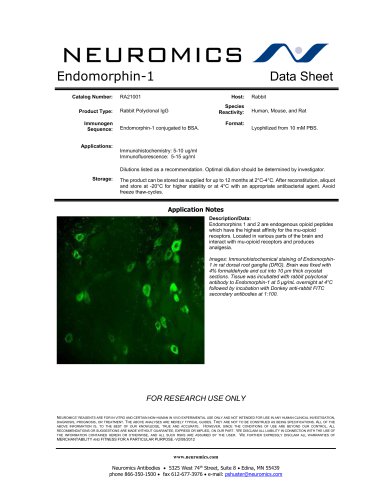 Endomorphin 1