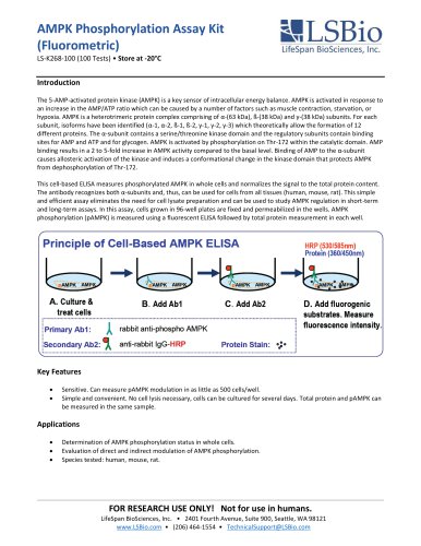 AMPK Phosphorylation Assay Kit