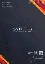 SYNDEO Steel-24