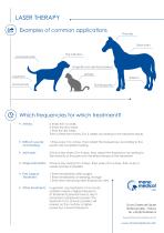 LT16 Laser Therapy-6