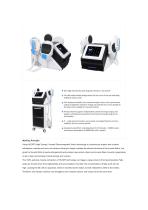 Chengji RF-Slimming EMS-2 - 2