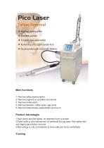 Chengji Tattoo removal laser CJ-TR-3 - 2
