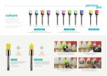 The Prophy Range-5
