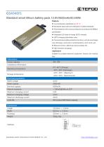 GS2040FL-1