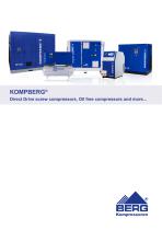 more and compressors free Oil ,compressors screw Drive D-1