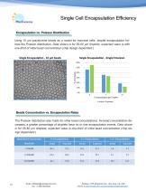 PreciGenome iFlow™-10