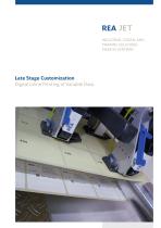 rea-late-stage-customization-1