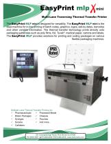 EasyPrint MLP mini-1