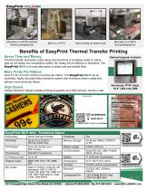 EasyPrint MLP mini-2