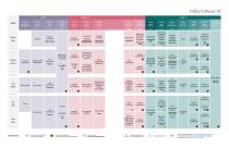 IMCAS 2024-3