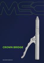 CROWN BRIDGE-1