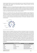 res4plex direct RT-PCR-4