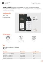 Dental resin product catalog-9