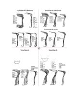 Surgical instruments Catalogue-38