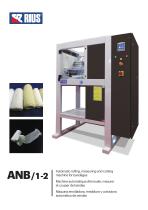 ANB / 1 -2-1