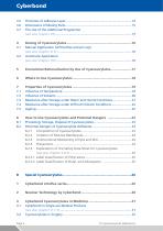 Cyberbond-2