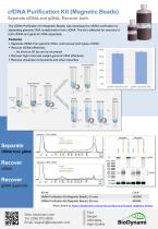 cfDNA Purification Kit (Magnetic Beads)-1