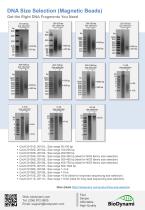 DNA Size Selection (Magnetic Beads)-2