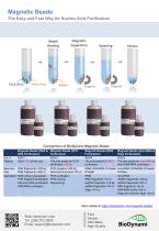 Magnetic Beads-4