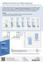 miRNA Purification Kit (tRNA Depletion)-1